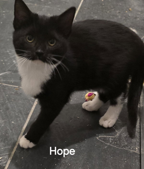 Hope