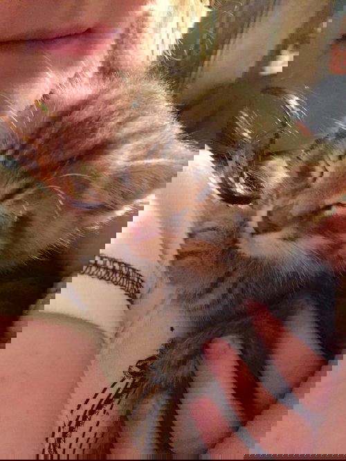 Phineas