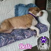 Belle - Photo 12