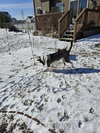 Gigi - Photo 2