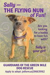 Sally - Photo 2