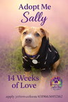 Sally - Photo 1
