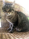 Offered by Owner 