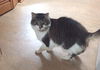 Offered by Owner 