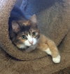 Rosie - Young and Friendly