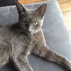 PENNY - Pretty and Peaceful