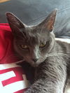 PENNY - Pretty and Peaceful