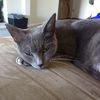 PENNY - Pretty and Peaceful