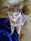 PENNY - Pretty and Peaceful