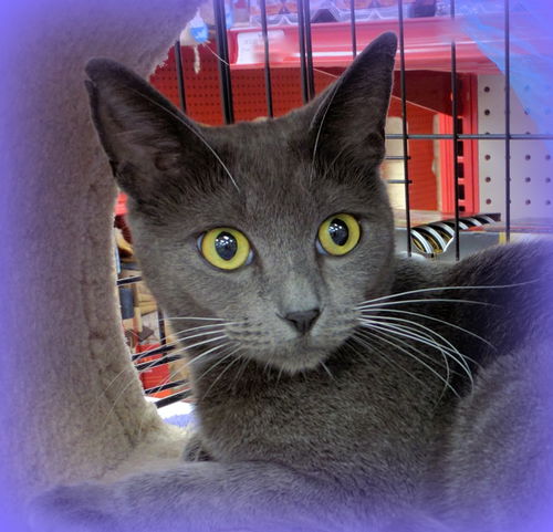 PENNY - Pretty and Peaceful