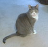 Offered by Owner LILY Senior Sweetheart