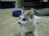Betty
