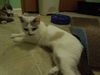 Betty
