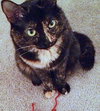 MILLIE