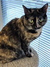 MILLIE