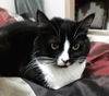 Offered by Owner -ABUE and KIKI Sisters