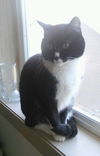 Offered by Owner -ABUE and KIKI Sisters