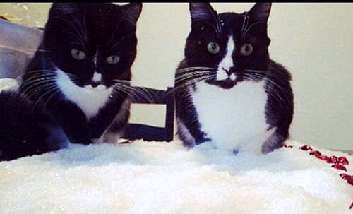 Offered by Owner -ABUE and KIKI Sisters