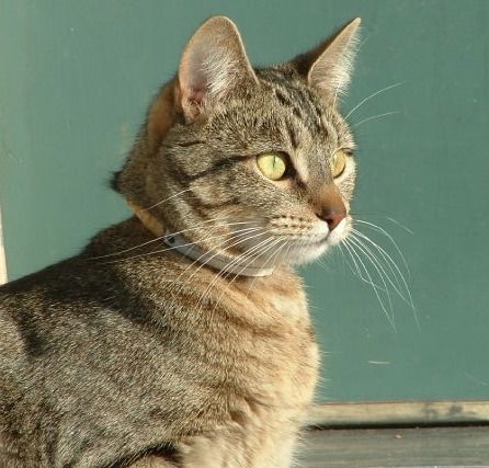 Offered by Owner ALPINE - Dances to her own Beat