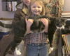 Offered by Owner - TOM (Best buddy with KONA)