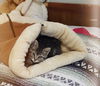 ABE - Rescue Flight Kitten