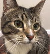 KOVU - Offered by Owner - Senior Male
