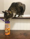 KOVU - Offered by Owner - Senior Male