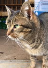 Offered by Owner - SPINNER
