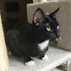 MAGGIE - Young Female