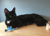 MAGGIE - Young Female