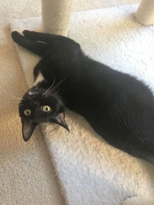 MAGGIE - Young Female