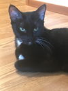 MAGGIE - Young Female