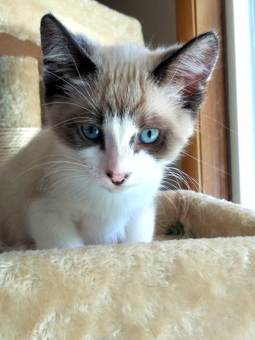 OSCAR