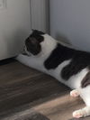 BENSON - Friendly and Young