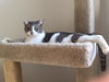 BENSON - Friendly and Young