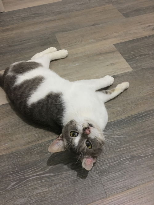 BENSON - Friendly and Young