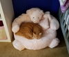 Offered by Owner - SAMANTHA - Senior