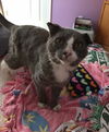 BERNIE - Offered by Owner
