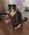 BERNIE - Offered by Owner