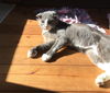 BERNIE - Offered by Owner