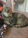 ORCHID and AMELIA - Offered by Owner Sisters