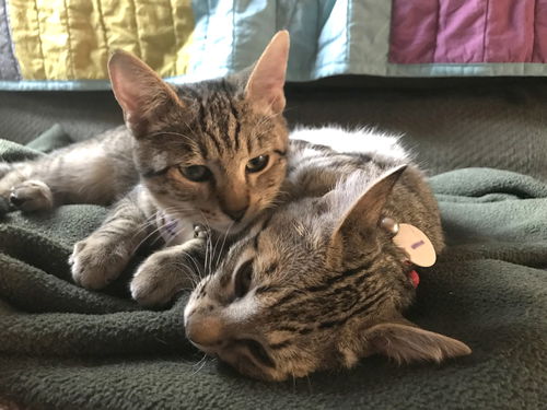 BEAU and TY - Brothers in Arms