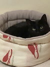 CHUNKY - Offered by Owner - Black Beauty