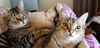 ANDREW and ARTHUR - bonded brothers