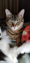 ANDREW and ARTHUR - bonded brothers