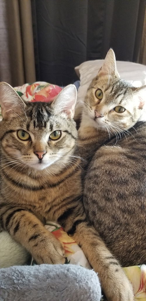 ANDREW and ARTHUR - bonded brothers