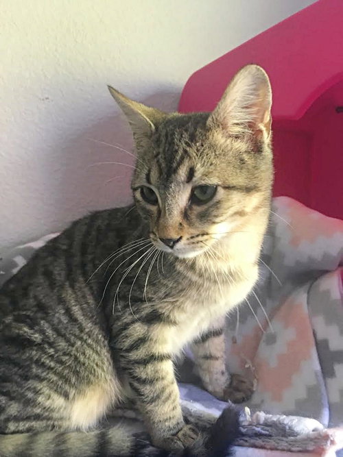 MORTY - Offered by Owner