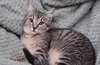 MORTY - Offered by Owner