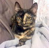 MADELYN and CLAUDIA - Bonded Beauties