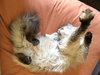 ANNIKA - Offered by Owner